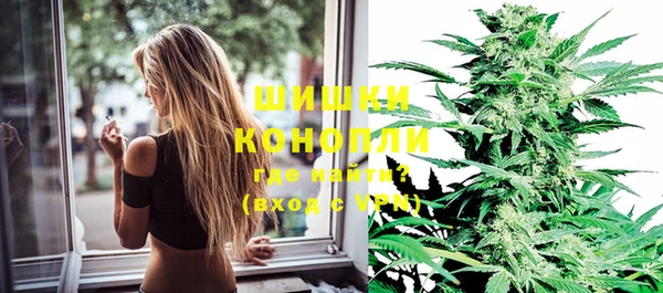 бошки Бронницы