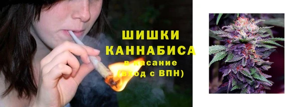 ПСИЛОЦИБИНОВЫЕ ГРИБЫ Бугульма