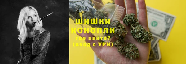 бошки Бронницы