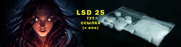 прущая мука Бородино