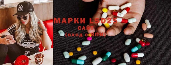 ПСИЛОЦИБИНОВЫЕ ГРИБЫ Бугульма
